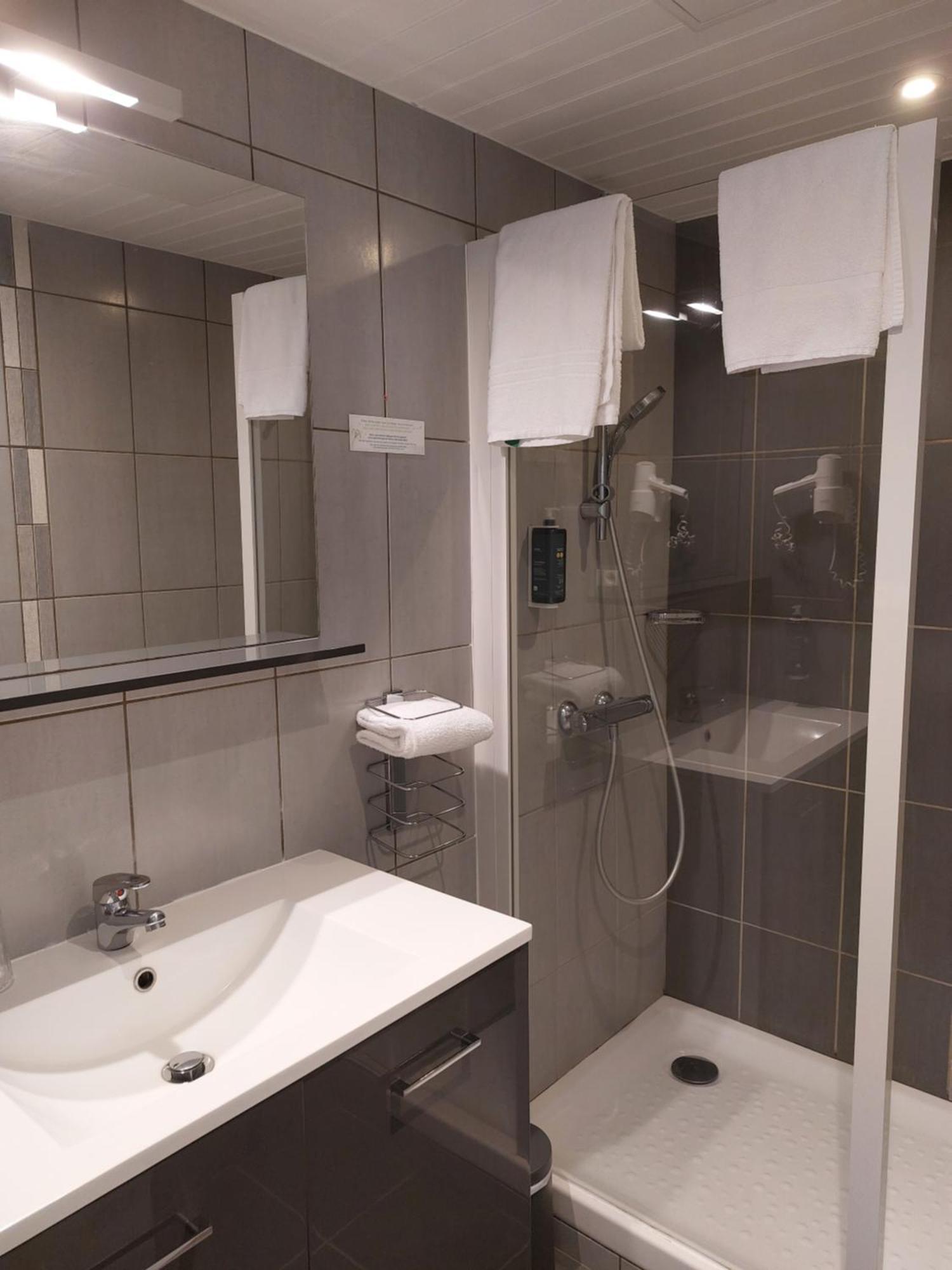 Brit Hotel Roanne - Le Grand Hotel ภายนอก รูปภาพ